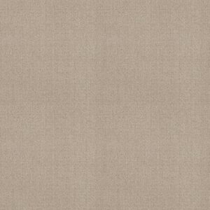 SENSIBLE NOW by Shaw Floors - Passageway