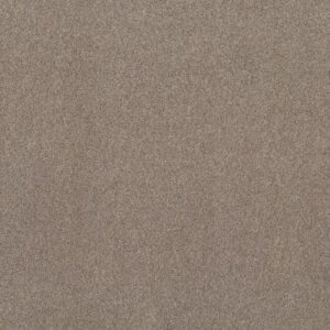 LIVE ON COMFORT by Shaw Floors - Carriage House