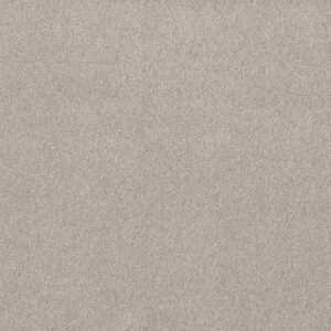 LIVE ON COMFORT by Shaw Floors - Brushed Aluminu