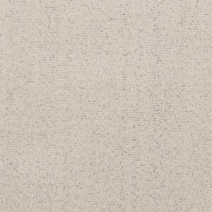 INTRICATE TRACE by Shaw Floors - Snowfall