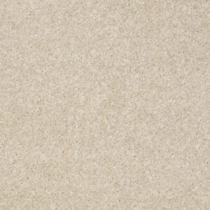 JET SET by Shaw Floors - Stucco