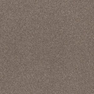 RIGHT CHOICE by Shaw Floors - Sandstone