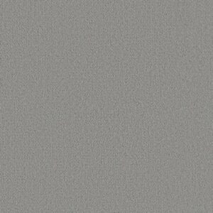 FINE TAPESTRY by Shaw Floors - Sentimental