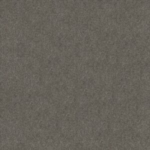 BOUNDLESS II by Shaw Floors - Magnetic