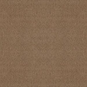 ALLURING CANVAS by Shaw Floors - Raw Wood