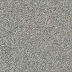 BOUNDLESS III by Shaw Floors - Distant Star