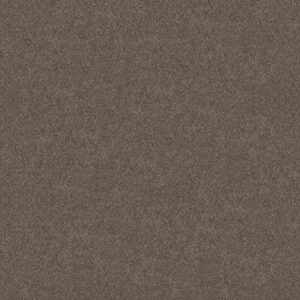 BOUNDLESS I by Shaw Floors - Woodcraft