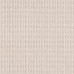 FAINT INTENT by Shaw Floors - Champagne Toast