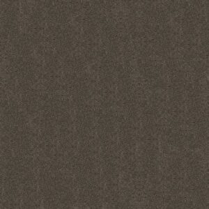 BOUNDLESS III by Shaw Floors - Cabana