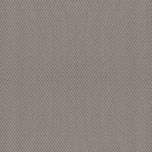 NATURALISTIC by Shaw Floors - Grey Fox