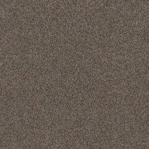WITHIN REACH II by Shaw Floors - Beige Bisque