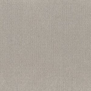 TRANSLATE by Shaw Floors - Feather