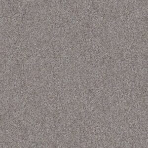 BREAK AWAY (T) by Shaw Floors - Windy City