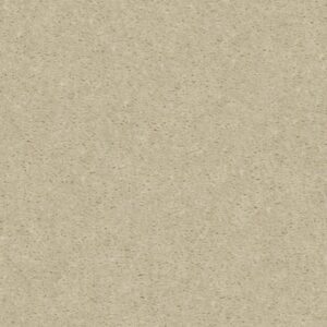 HEROIC by Shaw Floors - Coconut Twist