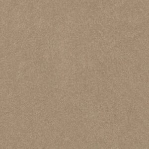 HARD AT PLAY I 12' by Shaw Floors - Worn Path