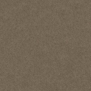 SALINA I by Shaw Floors - Simply Taupe