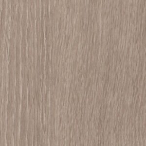 Symbiotic 12 by Shaw Floors - Plateau