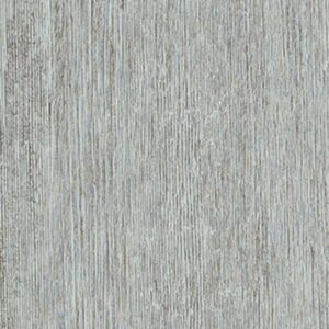 Symbiotic 30 by Shaw Floors - Everest