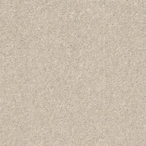 SMOOTH TALK I by Shaw Floors - Halo