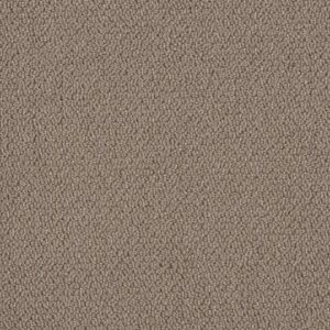 EMBELLISHED by Shaw Floors - Raw Wood