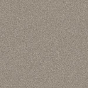 TRUSPIRIT II by Shaw Floors - Lady Liberty