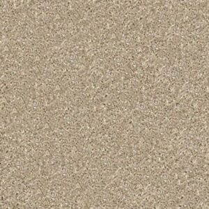 HARLEY STREET I by Shaw Floors - Oyster