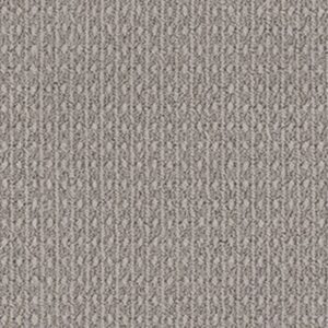 MODESTA by Shaw Floors - Atmosphere