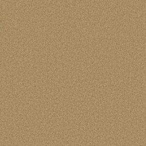 GRAND IMAGE III by Shaw Floors - Sun Shower