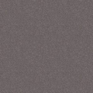 HARMONIOUS III by Shaw Floors - Deep Connection