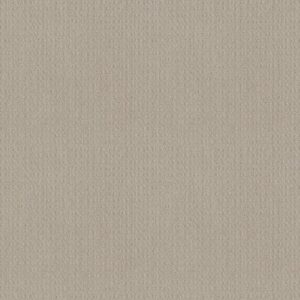 ESSENTIAL NOW by Shaw Floors - Fossil Path