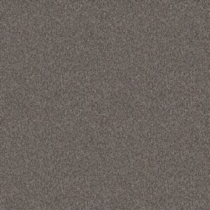 INFLUENCER by Shaw Floors - Desert View