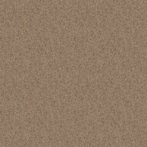 TAKE AWAY (S) by Shaw Floors - Raft