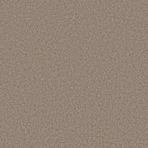 ARTISTIC FUSION II by Shaw Floors - Moonwalk