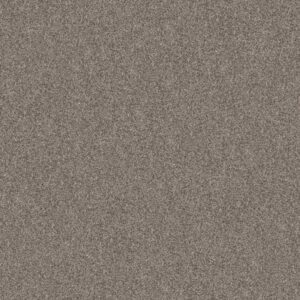 YES YOU CAN III 15' by Shaw Floors - Chic Greige