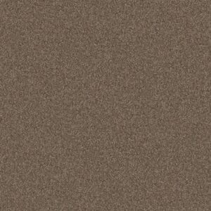 YES YOU CAN III 12' by Shaw Floors - Worn Path