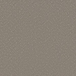 FAVOURED PATH by Shaw Floors - Ashes