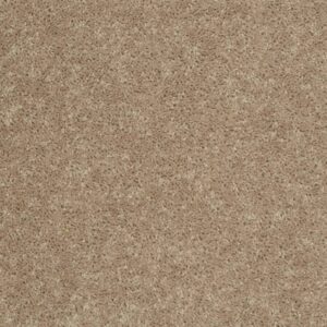 UNION CITY I 15 by Shaw Floors - Tassel