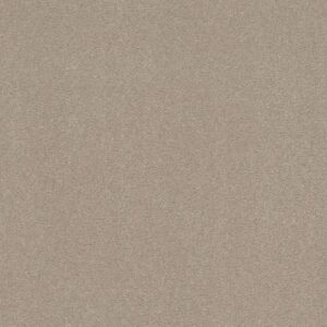 WELL GROUNDED III 12 by Shaw Floors - Dreamy
