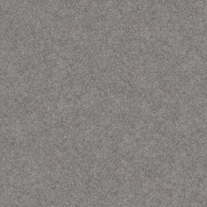 MAKE IT MINE II by Shaw Floors - Arctic Shadow