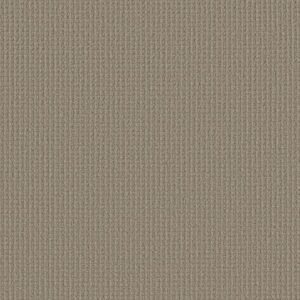 AERIAL ARTS by Shaw Floors - Burnished Clay