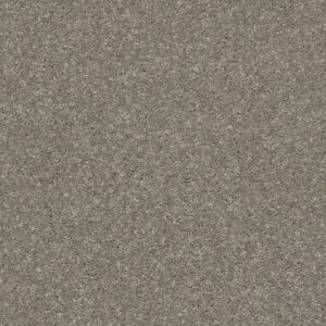 AFTER ALL II by Shaw Floors - Rustic Taupe