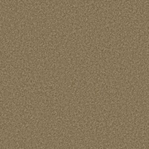 FREE TIME by Shaw Floors - Reed