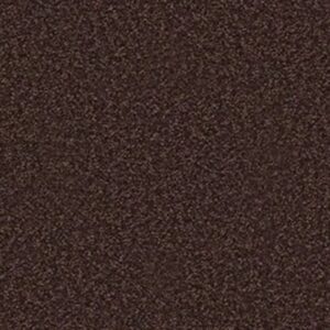 SANDY HOLLOW II 12' by Shaw Floors - Tundra