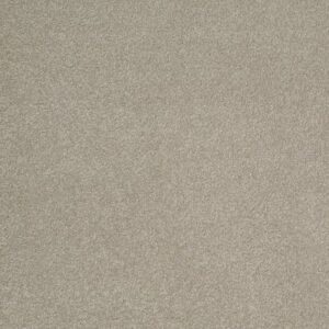 SANDY HOLLOW III 12' by Shaw Floors - London Fog