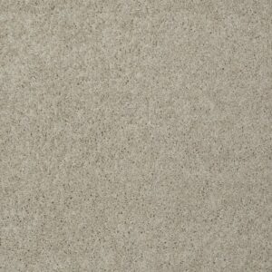 MY DESTINATION I by Shaw Floors - Bare Essence