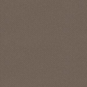 DEL VISTA by Shaw Floors - Smokestack