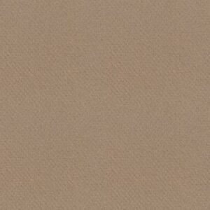 DEL VISTA by Shaw Floors - Beach Grass