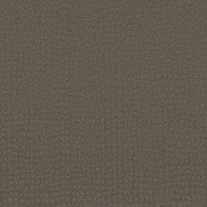 SOLSTICE by Shaw Floors - Potting Soil