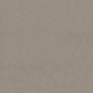 DEL VISTA by Shaw Floors - Ash Mist