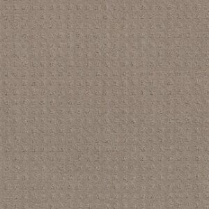 TOWN SQUARE by Shaw Floors - Barista